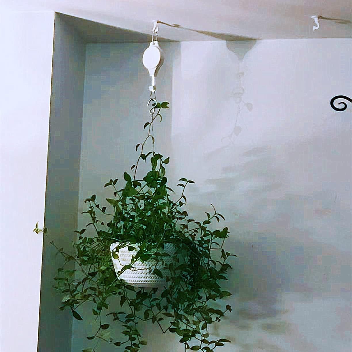Adjustable Plant Pulley Retractable Hanging Planters Flower Basket Hook Hanger for Gardening Pot and Outdoor Birds Feeders in Different Height Lower and Raise Pack of 3 Pieces(White)