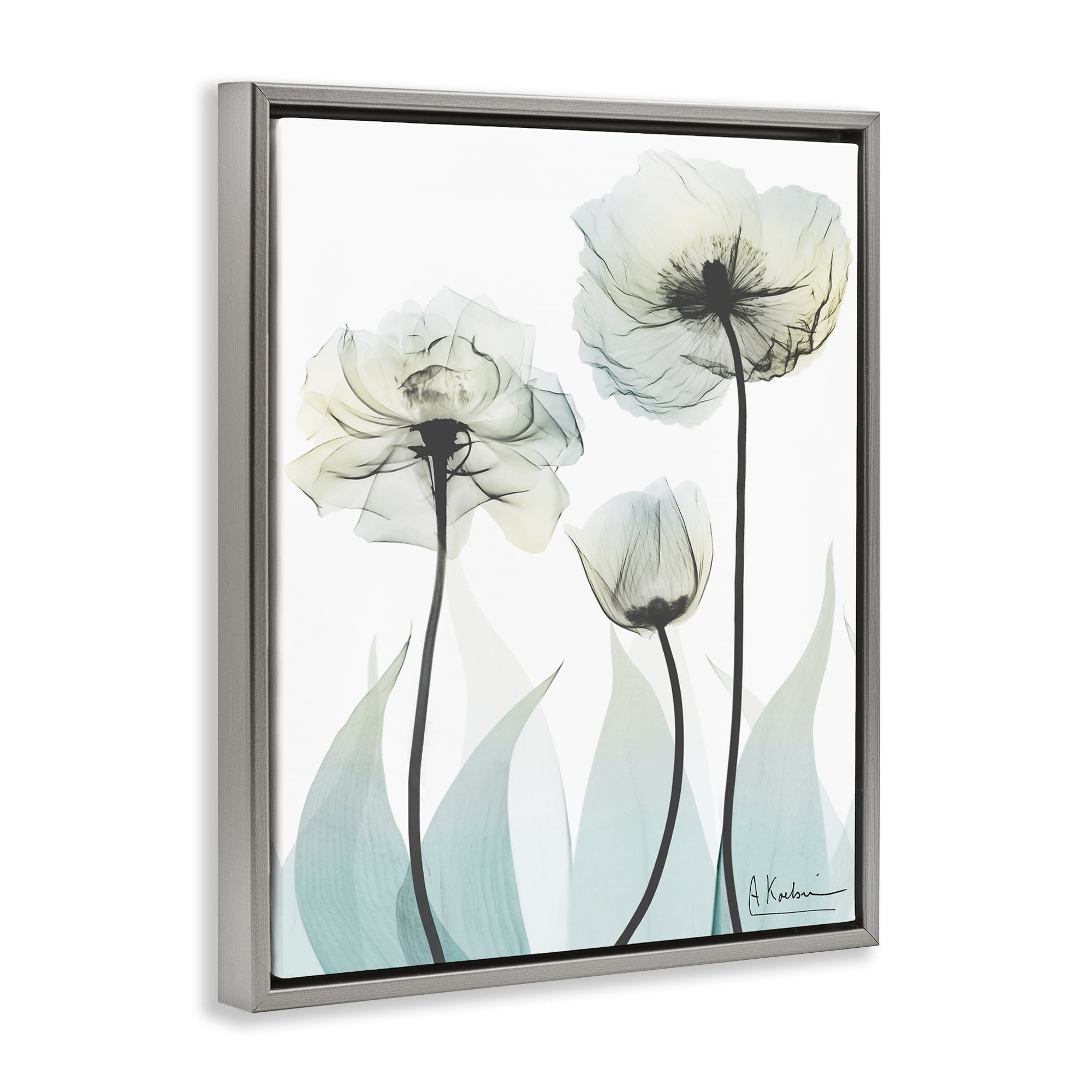 Stupell Industries Luxury Of Creation Gray Framed Floater Canvas Wall Art, design by Albert Koetsier