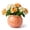 Terracotta Orange, variant on EFISPSS Hand-Patted Glaze Self Watering Ceramic Planter with Inner Clay Pot, 6 Inch Terracotta Orange African Violet Pots, Indoor Herb & Plant Pot, Home Decor