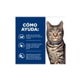 thumbnail image 4 of Hill's alimento gato húmedo metabolic lata pollo vegetales 82g, 4 of 8