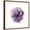 Brown Frame, variant on Art.com Watery Plum Bloom 2 Art Print by Sandra Smith, 16" x 16"