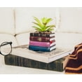 thumbnail image 4 of Maceta de cerámica con forma de pila de libros de Harry Potter con suculentas artificiales, 4 of 7