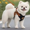 thumbnail image 4 of Dog Leashes for Small & Medium Dogs,Pet Dog Leash Set Small Medium Dog Vest Breathable Puppy Chest Strap French Chihuahua Pet(L,Black), 4 of 4