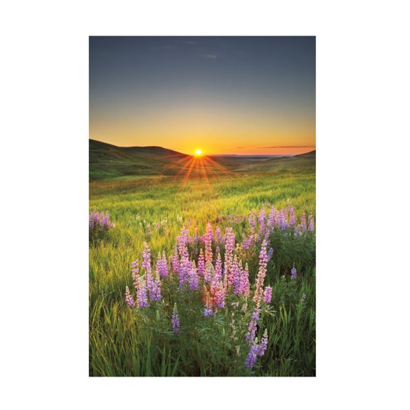 Alan Majchrowicz 'Prairie Sunrise' Canvas Art