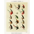 thumbnail image 2 of Marbury, Mary Orvis 19x24 Black Modern Framed Museum Art Print Titled - Trout Fishing Flies II from Favorite Flies and Their Histories, 2 of 4