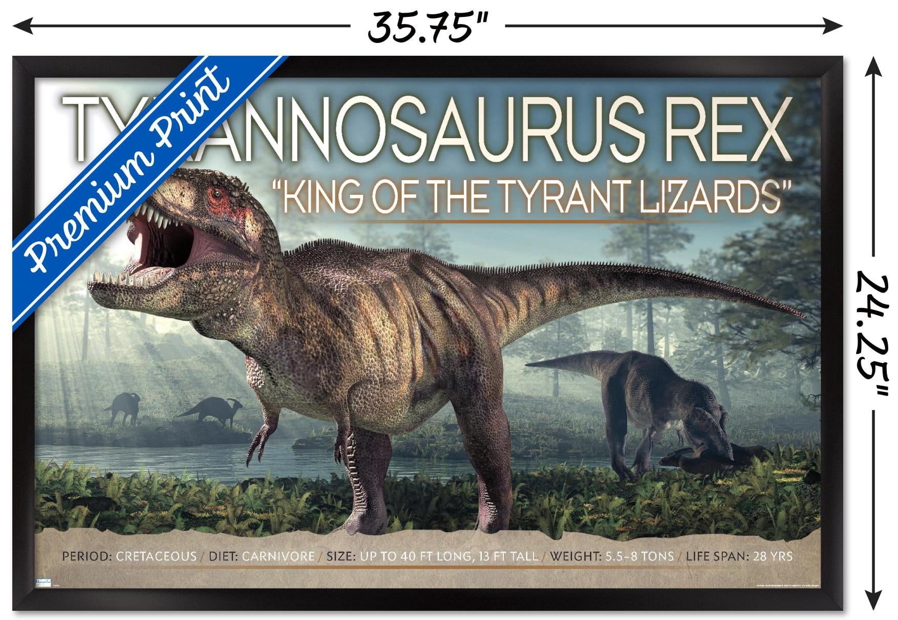 Dinosaurs - T-Rex Wall Poster, 22.375" x 34", Framed