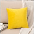 thumbnail image 1 of Paquete de 2 fundas de cojín de terciopelo Funda de cojín cuadrada decorativa Funda de cojín suave y firme para el sofá, dormitorio al aire libre 12 x 12 pulgadas Adepaton LRWJ222-1, 1 of 1