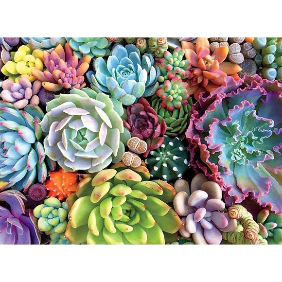 Pintura de diamantes 5D, pintura de diamantes completa para hacer tú mismo, juego de diamantes redondos, 30*40 cm sin marco, pintura de diamantes de animales y mariposas