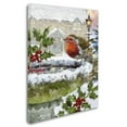 thumbnail image 2 of Trademark Fine Art 'Robin On Birdbath' Canvas Art by The Macneil Studio, 2 of 3
