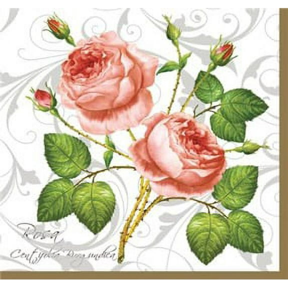 Rosa Centifolia - Decorative Floral Lunch Paper Napkins 100pcs - Perfect for Decoupage, Party, Birthday, Special Occasions, Weddings