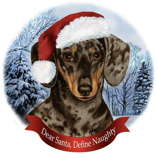 Holiday Pet Gifts Dachshund Dapple Chocolate and Tan Santa Hat Dog