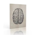 thumbnail image 2 of Estructura del cerebro Pintura Educativa Galería de interiores Escuela Enseñanza Imagen Poster ornamental desmontable colorido con marco Advancent HA010721-00, 2 of 7