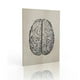 thumbnail image 2 of Estructura del cerebro Pintura Educativa Galería de interiores Escuela Enseñanza Imagen Poster ornamental desmontable colorido con marco Scienceny HA010721-00, 2 of 7
