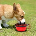 thumbnail image 2 of Collapsible Dog Bowl, 2 Pack Collapsible Dog Water Bowls for Cats Dogs, Portable Pet Feeding Watering Dish for Walking Parking Traveling with 2 Carabiners, 2 of 7