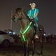 thumbnail image 5 of Cinturón De Brida Con Arnés De Pecho Con Cuello Halter Y Peto De Caballo Con LED Brillante Verde+Cinturón De Brida De Arnés De Pecho Con Cuello Halter Y Peto De Caballo LED Brillante Sunnimix none, 5 of 8