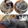thumbnail image 5 of Soft Velvet Safe Cat Adjustable Collar Bling Diamante With Bells,23-30cm,for Small Dogs And Cats (black), 5 of 5