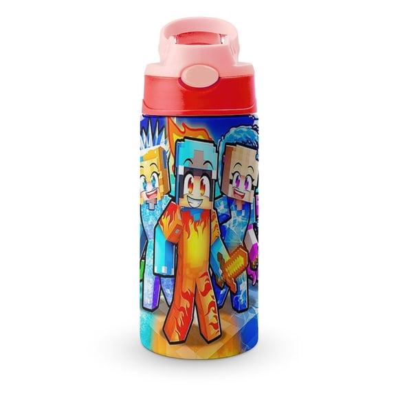 Cash & Nico Insulated Stainless Steel Water Bottle with Straw Vacuum Reusable Leak Proof Water Cup Boys Girls