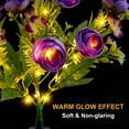 thumbnail image 6 of Rirool 2-Pack Purple Solar Peony Flower Garden Stake Lights, Warm White LED Outdoor Waterproof Decorative Lights with Auto On/Off for Yard Lawn Patio Pathway Walkway Flower Bed Decor, 6 of 8