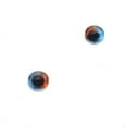 thumbnail image 5 of Heterochromia Dual Blue and Brown Human Glass Eyes, 5 of 11