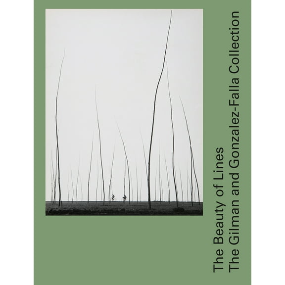 The Beauty of Lines : The Gilman and Gonzalez-Falla Collection (Hardcover)