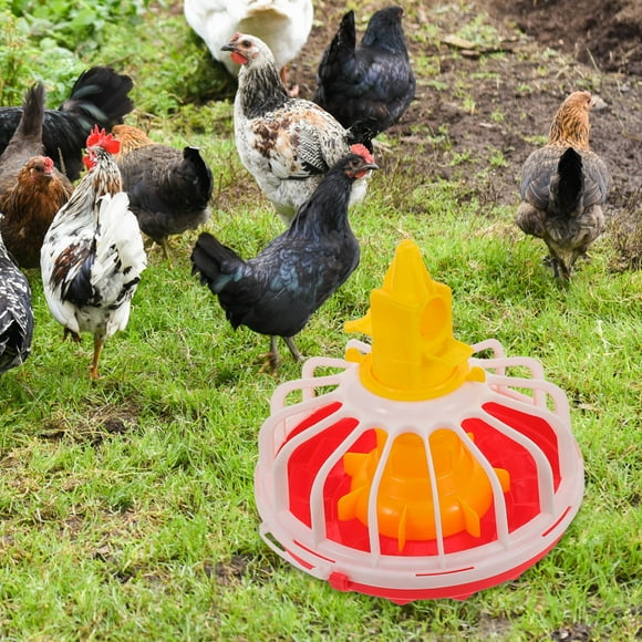 SHOWERORO Comedero Portátil Para Pollos De Plástico Duradero Con Compartimentos Para Alimentación Simultánea