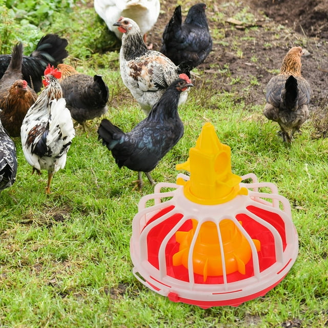 SHOWERORO Comedero Portátil Para Pollos De Plástico Duradero Con Compartimentos Para Alimentación Simultánea