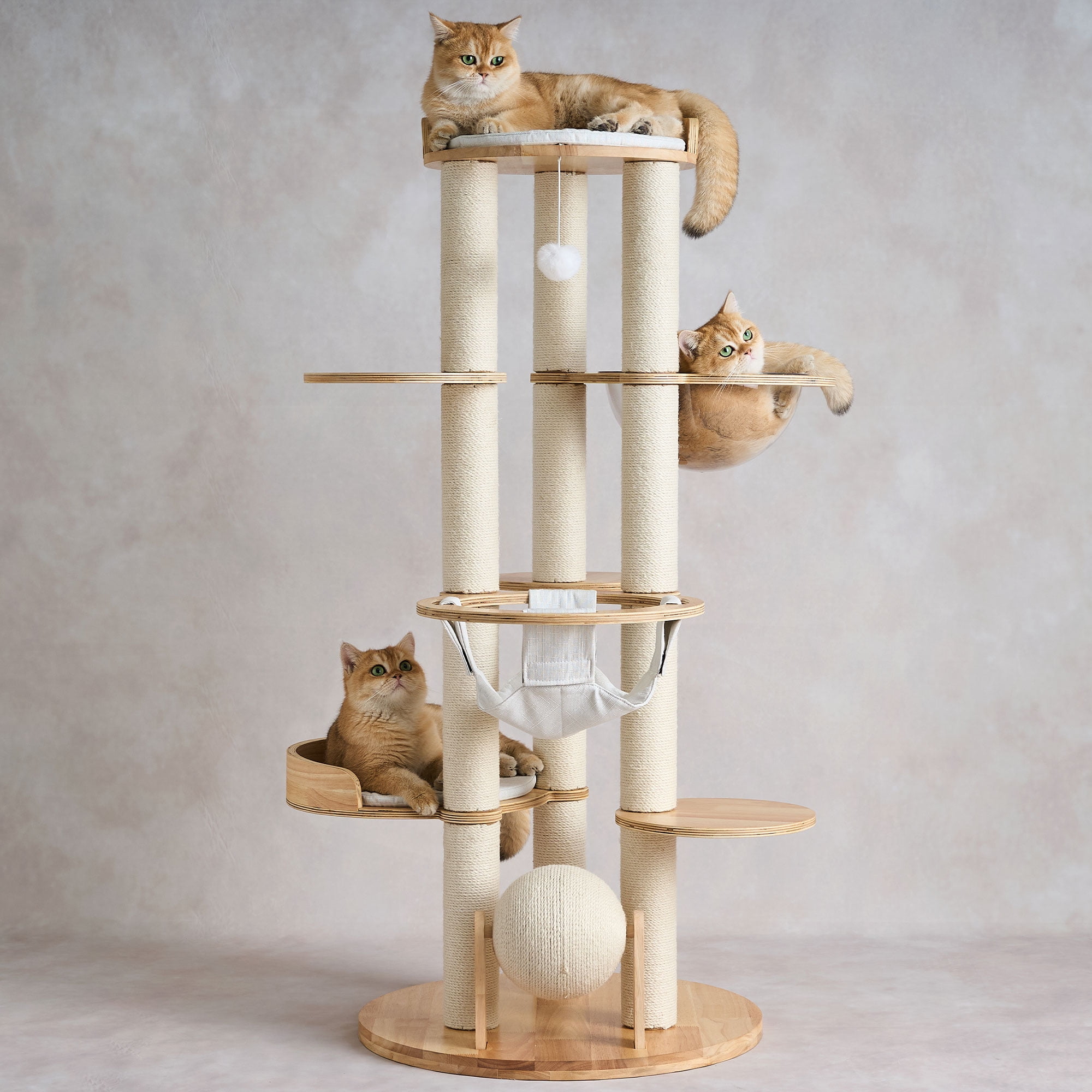 Modern Solid Wood Cat Tree Tower, 54" Tall Cat Tree with Sisal Scratching Posts, Capsule&Hammock, Luxury Natural Oak Wooden Cat Tower, Aesthetic Multi-Level Cat Climbing Tree for Large Indoor Cats