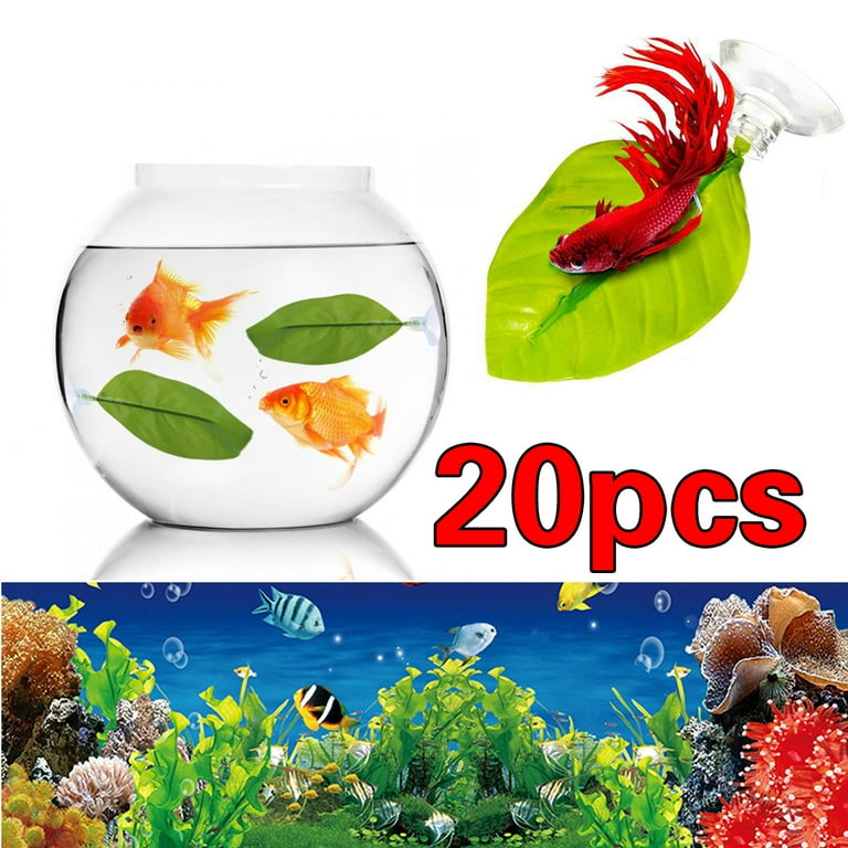 Danlai-Betta Leaf Hammock Peace Plant Accessories, Betta Fish Leaf Rest  Bed, Betta Tank Decor (Pack of 20) for Small Fish Tanks, Large Fish Tanks,  Aquariums, Etc. 