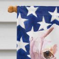 thumbnail image 3 of Carolines Treasures RDR3001CHF Cooper États-Unis Drapeau Américain Boxer Drapeau Toile Maison Taille, 3 of 4