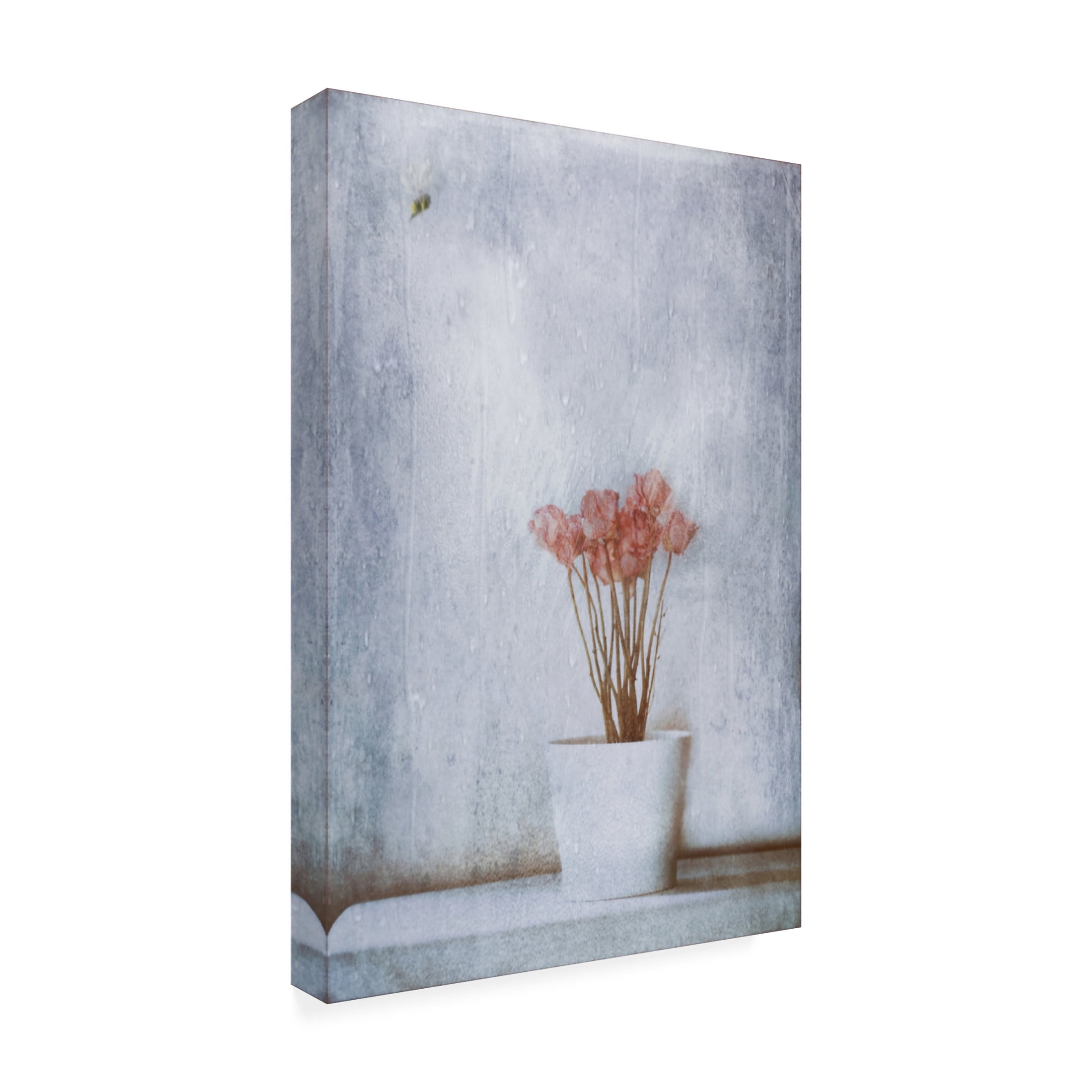 Canvas Wall Art - Delphine Devos 'When Summers Gone  ' Wall Art for Living Room, Bedroom, or Office Décor by Trademark Fine Art - 16 x 24 Inches