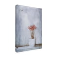 thumbnail image 4 of Canvas Wall Art - Delphine Devos 'When Summers Gone  ' Wall Art for Living Room, Bedroom, or Office Décor by Trademark Fine Art - 12 x 19 Inches, 4 of 4