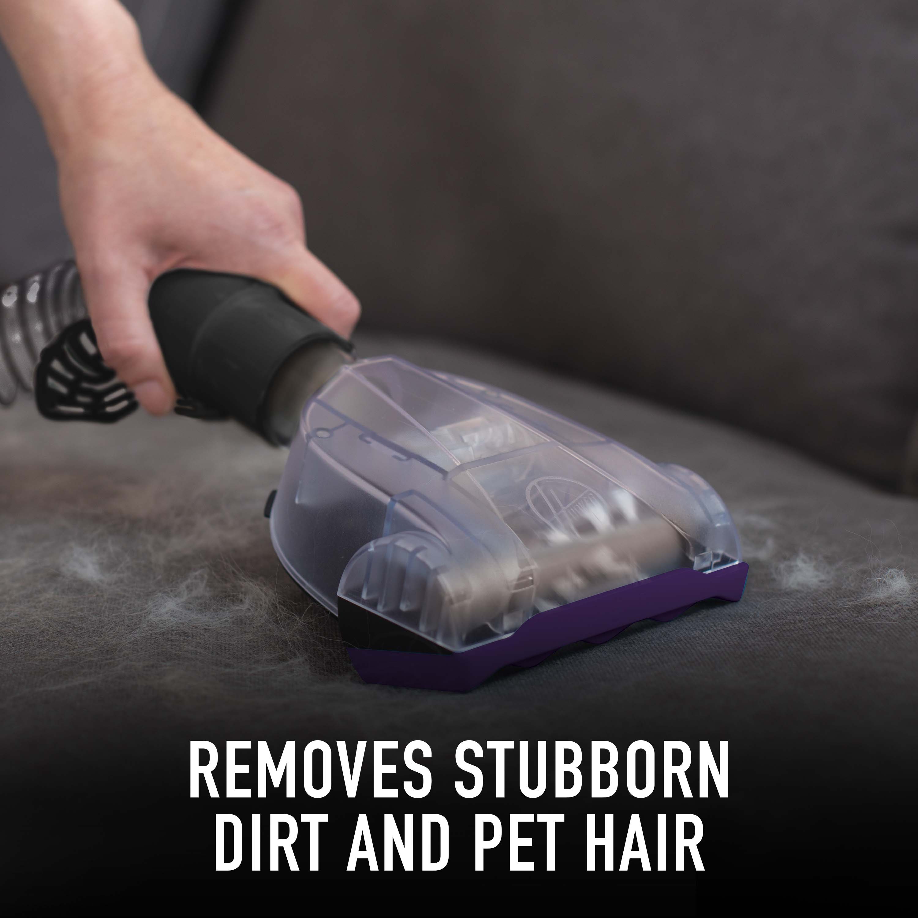 hoover total home pet belt walmart