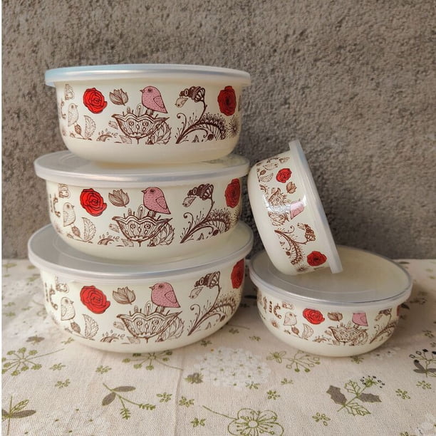 Cuenco para conservas de esmalte, juego de 5 cuencos para hielo, recipiente para conservas de esmalte, recipiente refrigerado