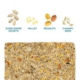Audubon Park Waste Free Seed Cake Wild Bird Food, Premium Pressed Bird