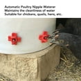 thumbnail image 4 of Kit de Pezones de Agua de Aves de Corral, AutiCtico 15 Sets Bebada de Agua de Agua de Pollo A Prueba de Fugas para Gallinas para Codornices, 4 of 7