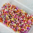 thumbnail image 1 of Real Dried Flower For DIY Art Craft Epoxy Resin Candle Making Glass Jewelry T7P7, 1 of 1