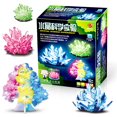 thumbnail image 1 of Kit de cultivo para niños Kits científicos para niños de 8 a 12 años Experimentos científicos Juguetes Proyectos STEM DIY Juguetes educativos Regalos para niños Niñas Niños de 6 a 12 años, 1 of 6