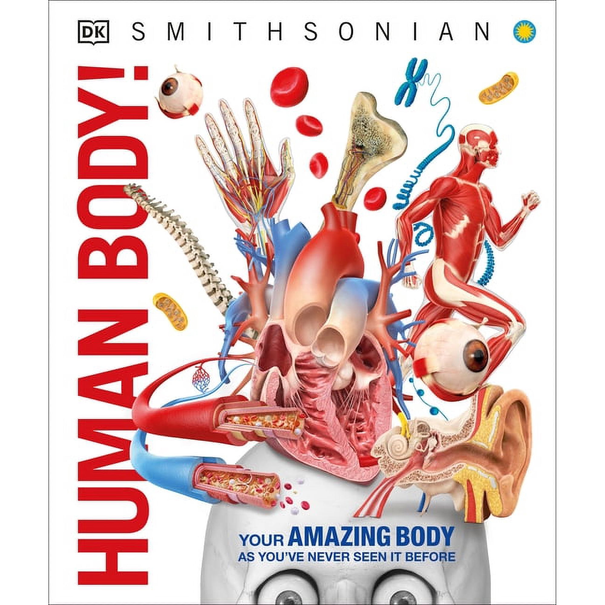 DK Knowledge Encyclopedias Knowledge Encyclopedia Human Body!: Human Anatomy as You've Never Seen It Before, (Hardcover)