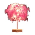 thumbnail image 2 of Lámpara De Plumas LED Decorativa Atmósfera Luz Dormitorio Dormitorio Lámpara Femenina Dormitorio Lámpara De Noche Para Sala De Estar Boda, 2 of 7