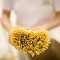 thumbnail image 4 of Rustichella D' Abruzzo Cannolicchi Durum Wheat Pasta in Tray, 1.1 Pound, 4 of 6