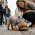 thumbnail image 3 of Warm Knitted Winter Coat for Small Cats and Puppies French Pet Apparel, 3 of 5