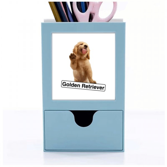 en retriever pet pose Desk Supplies Organizer Pen Holder Card