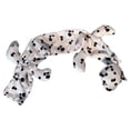 thumbnail image 2 of Pedia Pals Stethoscope Cover, Dalmatian Style Cover Fits standard stethoscopes, Washable Material, 2 of 2