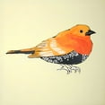 thumbnail image 2 of Atelier B Art Studio 15x15 White Modern Wood Framed Museum Art Print Titled - LITTLE ORANGE BIRD ILLUSTRATION, 2 of 4