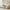 White, variant on Garvee Loft Bed Twin Size, Heavy Duty Metal Frame with Arched Guardrails, Safety Ladder & Underbed Space-Saving Design, No Box Spring Needed, Grey