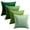 Green, variant on Softalker Decorative Pillow Covers, Velvet Square Pillow Cases 18x18 Inch Set of 4, Soft Solid Throw Pillow Covers for Christmas, Couch, Sofa, Bedroom, Living Room, Patio (Green)