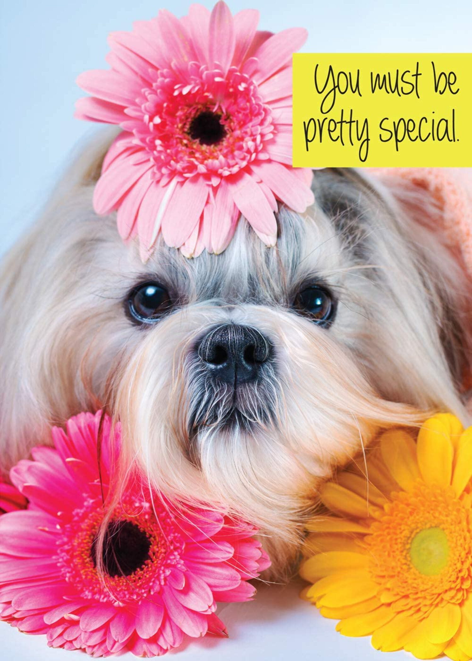 Birthday Card 12-pack Box Set -- 3 Cards Per Design
