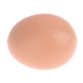 thumbnail image 4 of 20Pcs Dummy Faux Fake Chicken Eggs Get hens to Lay Eggs Poultry Mannequin Nest Eggs, 4 of 13