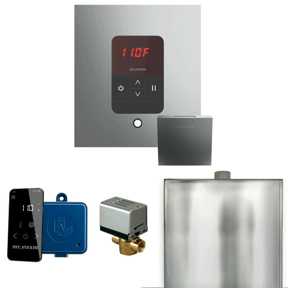 Mr Steam Basic Butler Steam Shower Pkg w/Square iTempo Control and Linear Steamhead in Satin Steel