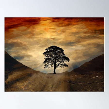 Lone Tree Sycamore Gap Hadrian'S Wall Northumberland Poster Wall Art, Modern Wall Decor For Living Room Bedroom, 8x12 UNFRAMED